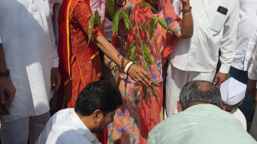 बायतू विधायक हरीश चौधरी के जन्मदिन पर कांग्रेस का ‘ग्रीन मिशन’, पौधारोपण कर दिया पर्यावरण संरक्षण का संदेश...