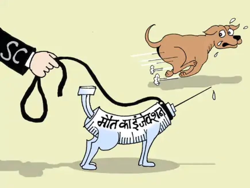सुप्रीम कोर्ट का बड़ा आदेश: खतरनाक कुत्तों को मौत का इंजेक्शन दें, जन सुरक्षा सर्वोपरि... जो अफसर निर्देश न माने, उस पर अवमानना केस का निर्देश
