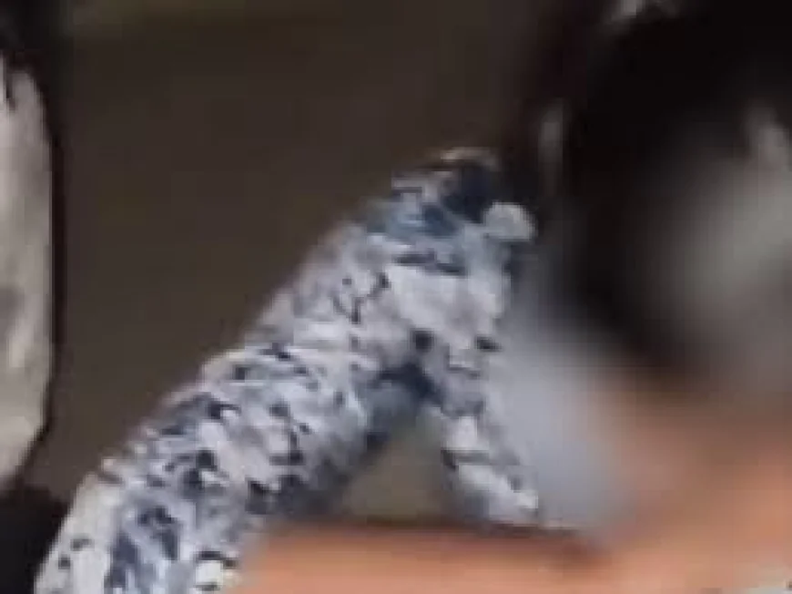 बाड़मेर में युवती से मिलने पहुंचे युवक को ग्रामीणों ने पकड़ा, बाल-दाढ़ी काटकर रातभर किया प्रताड़ित
