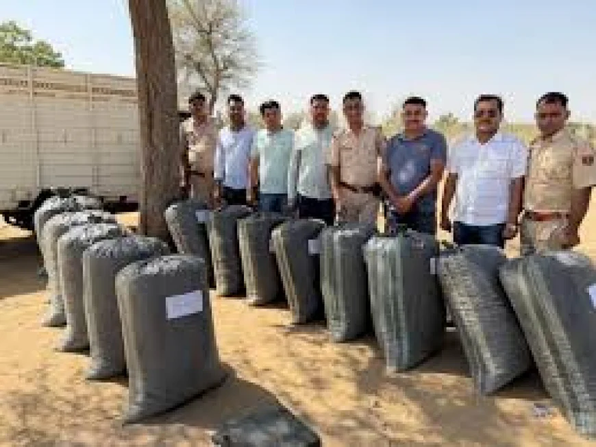 जेल से छूटते ही फिर शुरू किया नशे का कारोबार: बाड़मेर में 324 किलो डोडा-चूरा जब्त, तस्कर फरार