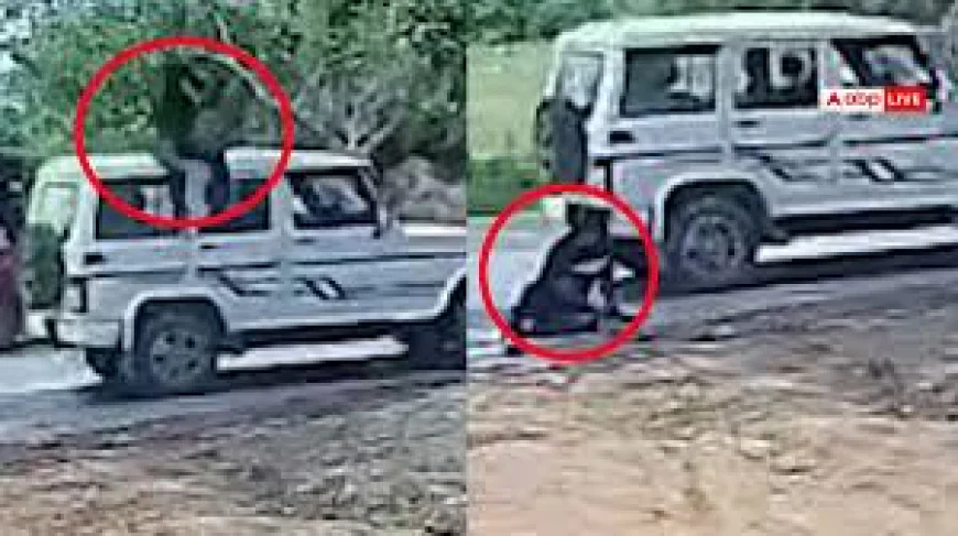 रॉन्ग साइड आई तेज रफ्तार बोलेरो ने बाइक को मारी टक्कर, एक युवक की मौत; दूसरा गंभीर घायल