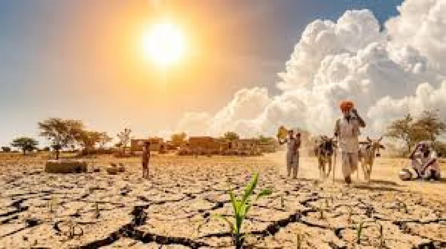राजस्थान में नौतपा का आगाज: पारा 47°C पार जाने का अलर्ट, अगले 4 दिन झुलसाएगी भीषण गर्मी