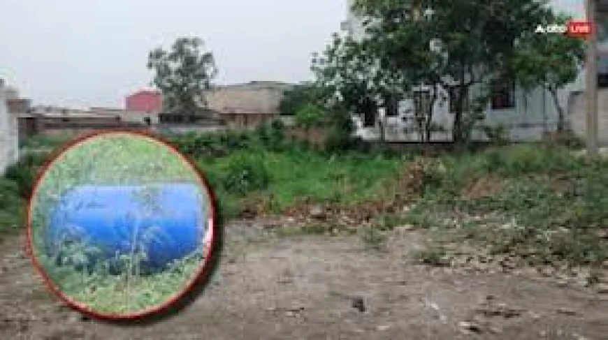 Patiala Blue Drum Case: कूड़े के ढेर में मिले नीले ड्रम से निकली किशोरी की लाश, पटियाला में सनसनी