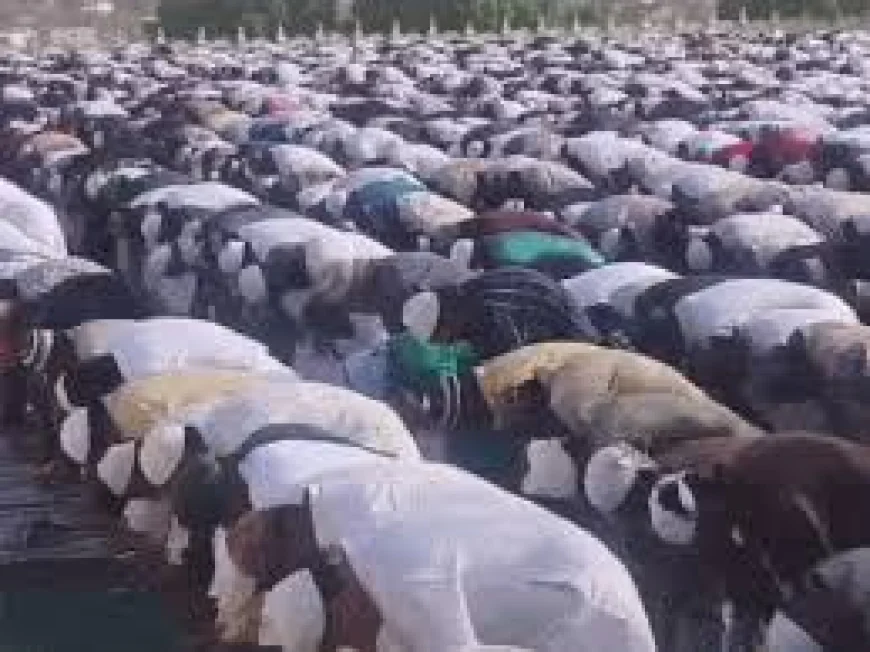 बाड़मेर में ईद-उल-अजहा का जश्न: ईदगाह में अदा हुई विशेष नमाज, हजारों मोमीनों ने मांगी अमन-चैन की दुआ