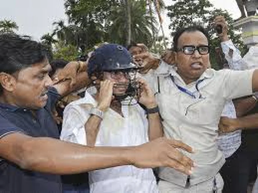 "हेलमेट नहीं होता तो जान चली जाती"— भतीजे पर हमले के बाद ममता का बड़ा दावा