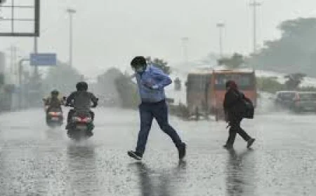 राजस्थान में बदला मौसम का मिजाज: 19 जिलों में आंधी-बारिश का अलर्ट, तूफान ने ली 3 जानें... गर्मी से मिली बड़ी राहत