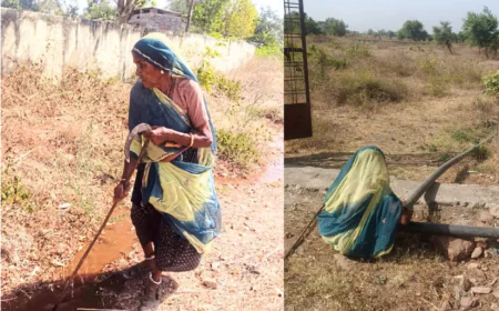 45 डिग्री गर्मी भी नहीं रोक पाई हौसला, 85 साल की बुजुर्ग रोज़ बचा रही हैं सैकड़ों पौधों की जिंदगी