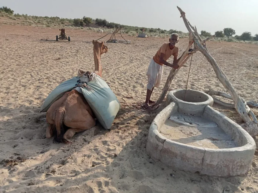 "डिजिटल इंडिया में मोबाइल नेटवर्क तक नहीं! बाड़मेर का ये गांव आज भी जी रहा है आदिम युग की ज़िंदगी"