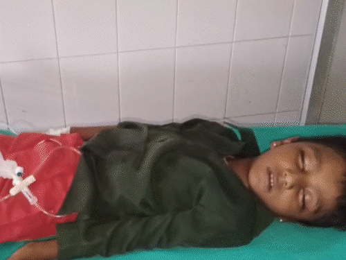 6 साल के मासूम को सांप ने डसा, डेढ़ घंटे में मौत... मां शव से लिपटकर रोती रही